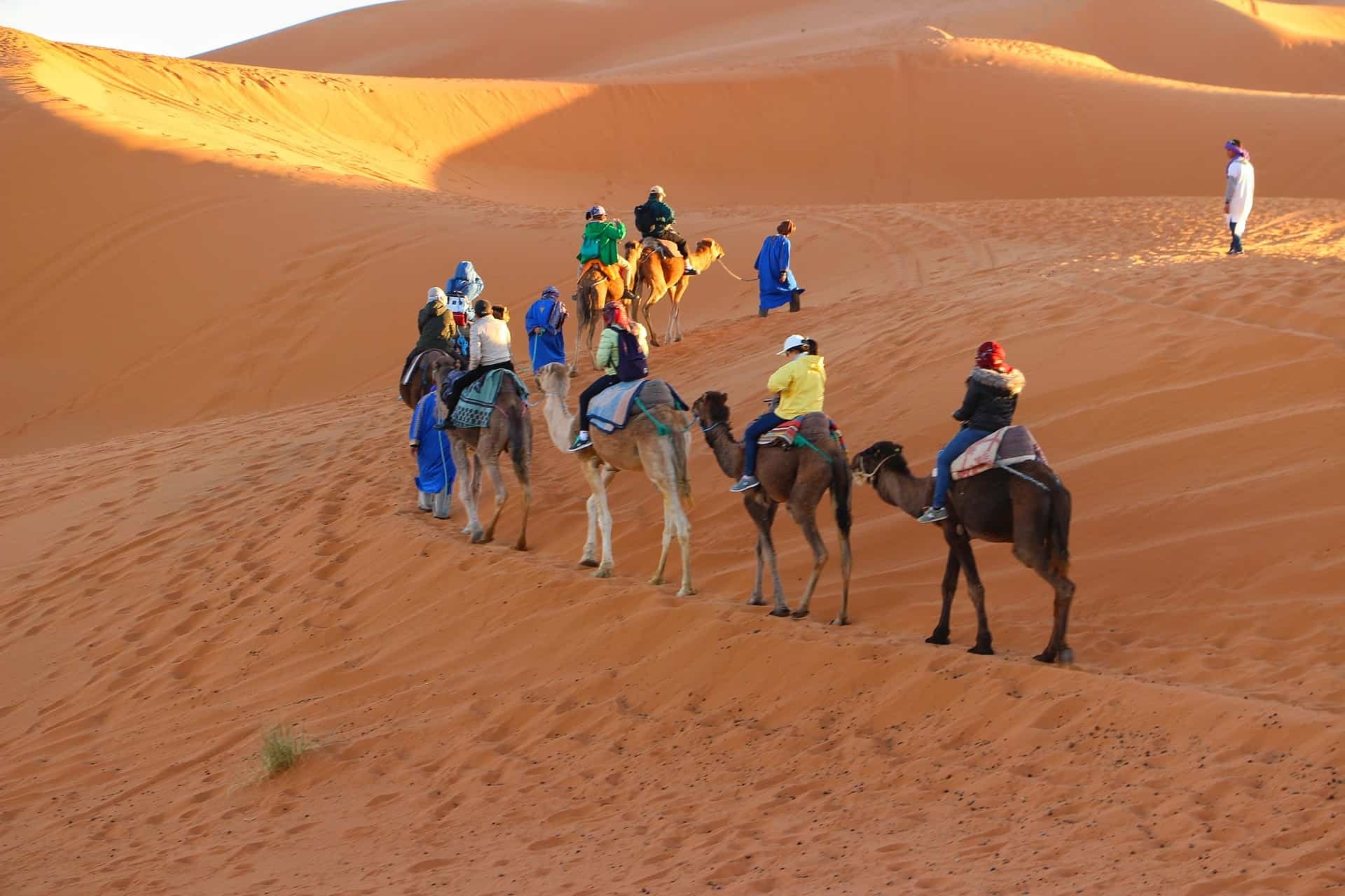 sahara desert tour marrakech to fes